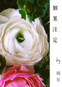 《姻果註定》