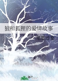 狼和狐狸的愛情故事