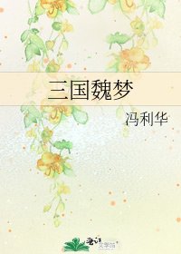 《三國魏夢》