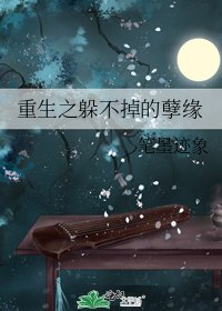 重生之躲不掉的孽緣