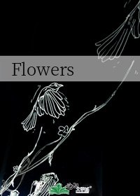 《Flowers》